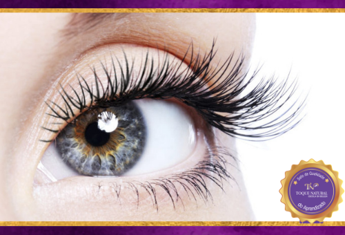 Informações Curso Lash Lifting